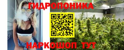 дживик Сланцы