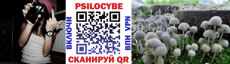 что такое наркотик Тутаев Галлюциногенные грибы мицелий