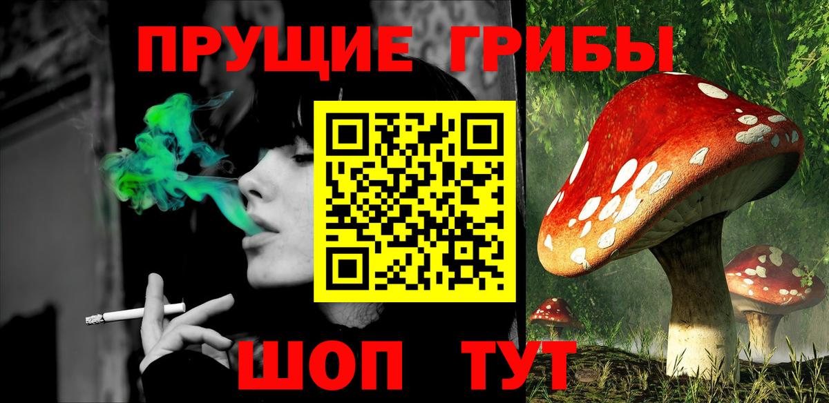 Псилоцибиновые грибы ЛСД  Галлюциногенные грибы мицелий  Тутаев  Вход с VPN 