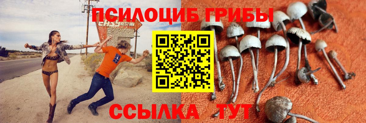 Псилоцибиновые грибы мухоморы Тутаев